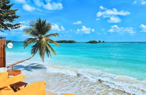 Chaweng City Center Hotel | The Stay Chaweng Beach Resort- SHA Plus