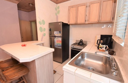 Dunmore Town House | The Sugar Apple Seagrapes with Luxury Garden View