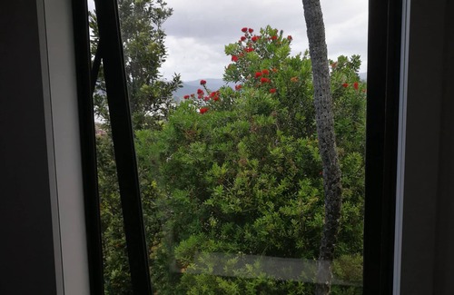Tairua House | The Tairua Tree House - a traditional NZ bach overlooking Tairua harbour