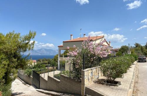 Theologos House | The Theologos Guesthouse