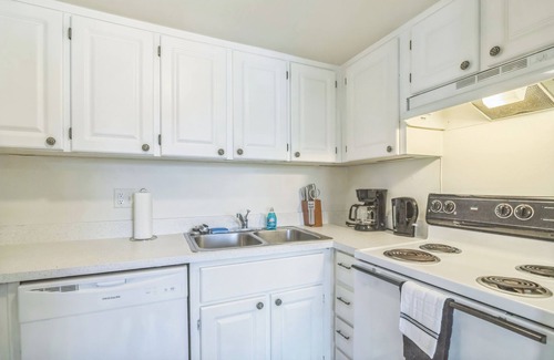 Gainesville Apartment | The Trails K256 I Spacious and Comfy 1 Bed 1 Bath