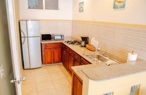 Boca Corona Apartment | The Triton – Spacious One-Bedroom Oceanview Suite