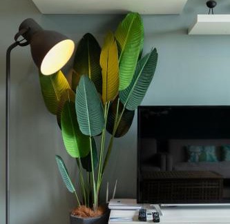 Genting Highlands Apartment | The Tropic@Midhill Genting (Free Wi-Fi)