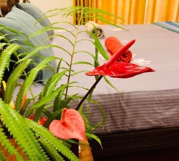 Bandaranayake House | The Tropical Hideout