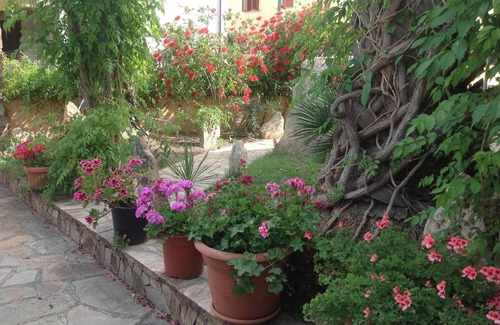 La Caletta House | The two palms from Angelo n. 6