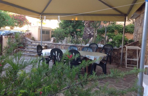 La Caletta House | The two palms from Angelo the cove