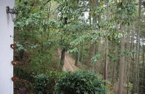 Luxembourg Ardennes House | The Vianden Cottage - Charming Cottage in the Forest