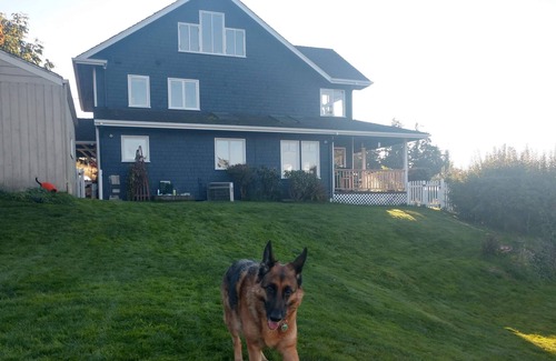 Mukilteo House | The View!! 5 mins to the Whidbey Ferry and Sounder train, 10 mins to Paine Field