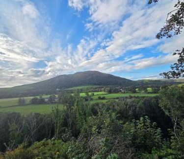 Girvan Other | The View