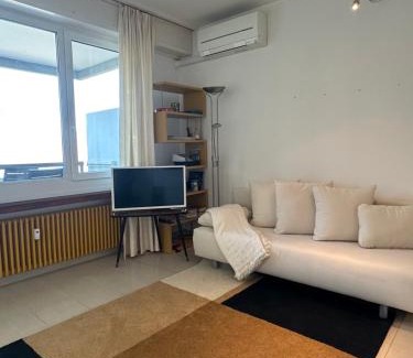 Bissone Apartment | The View of Lugano