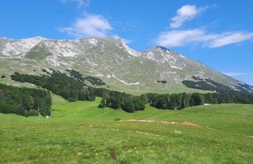 Zabljak Apartment | The View Smrcevo Brdo
