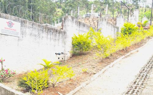 Mbabane Apartment | The Villa Oasis