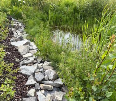 Miltown Malbay Apartment | The Wild Atlantic Neurodiversity Autism Sanctuary