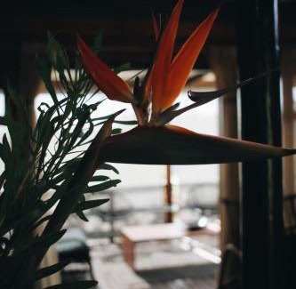 Knysna Apartment | The Wild Edge Last Light Cottage