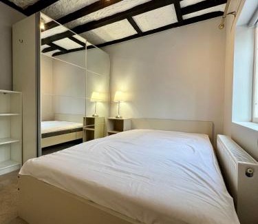 Bushey House | The Windmill