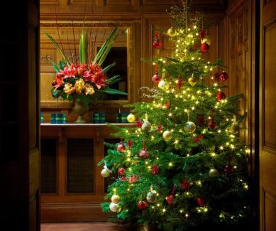 Evesham Hotel | The Wood Norton