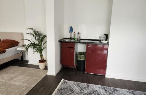 Hofheim am Taunus Apartment | TheSuites Frankfurt-Airport - Studio Room - Private WC, Shared Bathroom