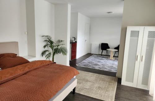 Hofheim am Taunus Apartment | TheSuites Frankfurt-Airport - Studio Room - Private WC, Shared Bathroom