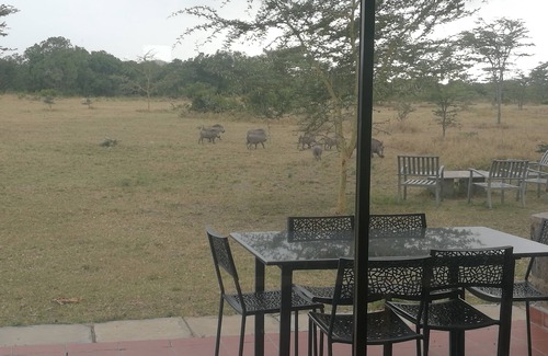 Nanyuki Villa | This is a holiday home villas inside of a conservancy park of ol pejeta ,The home of the big five .