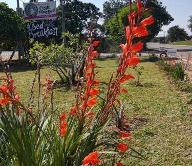 Maruleng Bed & Breakfast | Three Bridges B&B