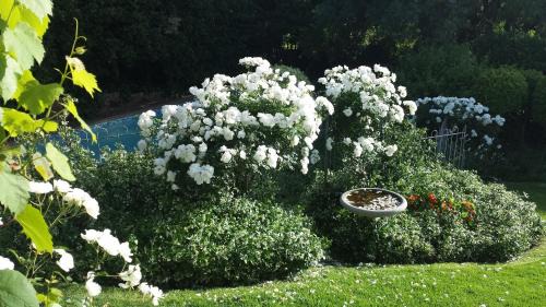 Eversdal Bed & Breakfast | Three Oaks