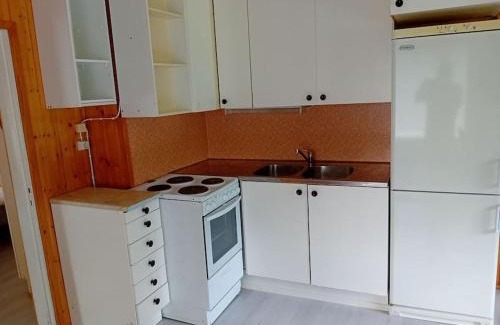 Hankasalmi Apartment | Tilava yksiö suurella puutarhalla