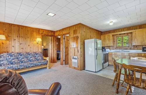 Park Rapids Cabin | Timberlane Resort Cabin #9 | 2 Bed, 1 Bath