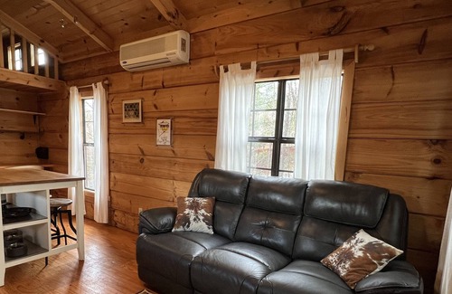 Franklin Cabin | Tiny cabin big mountain view,fast wifi,easy access