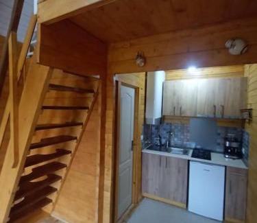 Gura Suhasului Ski Chalet | Tiny H