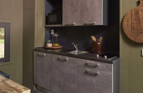 Otterlo House | Tiny House 4 by Interhome