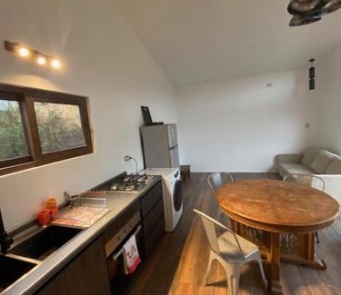 Valdivia Apartment | Tiny house en el bosque a 10 min de Valdivia, Wifi, Smart TV, free Parking