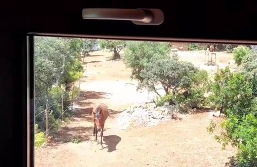 Sao Clemente Ski Chalet | Tiny House & Horses Hébergement Atypique à Loulé