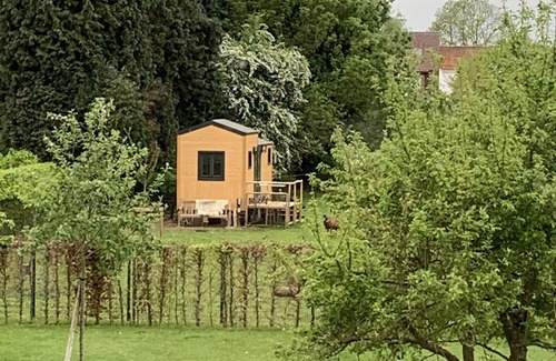 Overijse Ski Chalet | Tiny House on the edge of the Forêt de Soignes