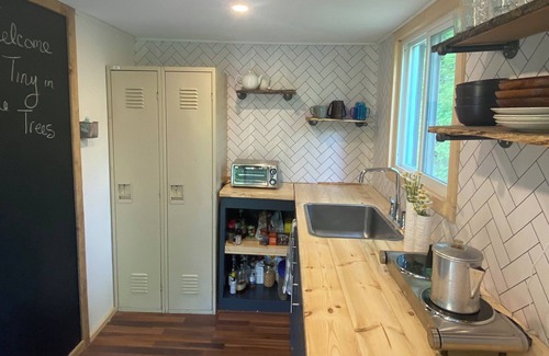 Central Frontenac Cabin | Tiny in the Trees