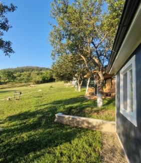 Agapia House | Tiny Nest