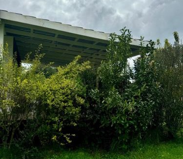 Lago Ranco Apartment | TinyHouse con Tinaja Adicional