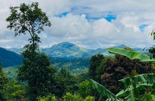 Somvarpet Ski Chalet | Tinyhouse - Hidden Valley Coorg