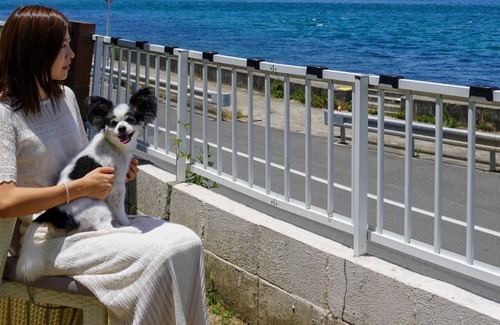 Awaji House | TizwanOcean viewPrivatePets allowedBBQ in the / Awaji Hyōgo