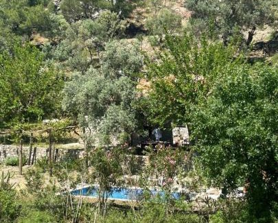 Ortaca Ski Chalet | Togo iztuzu Stonehouse-3