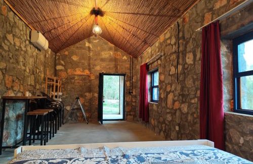Ortaca Ski Chalet | Togo iztuzu Stonehouse-5