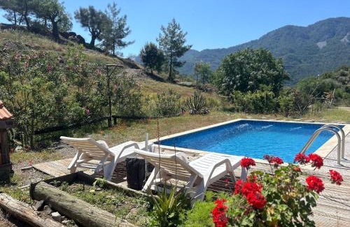 Ortaca Ski Chalet | Togo iztuzu Stonehouse-5