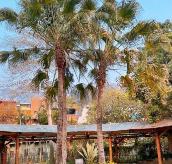 Shuili Hotel | TokuGawa Hotel