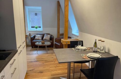 Rapperswil Apartment | Tolles Studio im Zentrum von Rapperswil