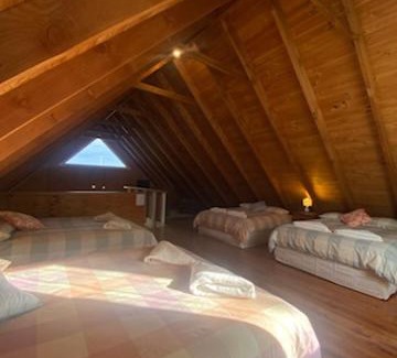 Millfield House | Tommy's Shack