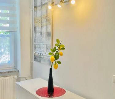 Maribor Apartment | Topel dom v centru mesta 5
