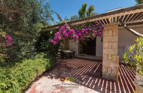 Rivabella Other | Torre Sabea