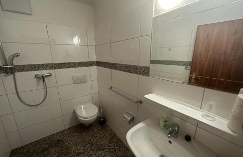Golling an der Salzach Hotel | Torrenerhof