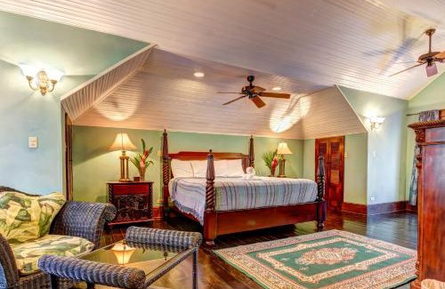 Bullet Tree Falls Apartment | Toucan Suite @ Mahogany Hall