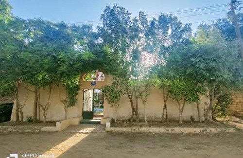 Al Fayoum Apartment | Touha House