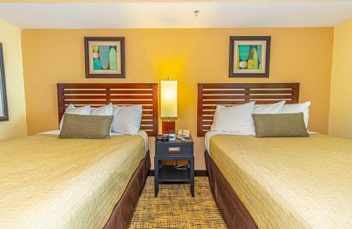 Cherry Grove Beach Apartment | Towers On The Grove 724 Direct Oceanfront Suite Sleeps 6 guests